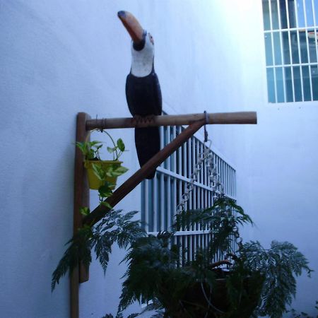 Aconchego Dos Milagres Villa เซามิเกลโดสมีลาเกรส ภายนอก รูปภาพ